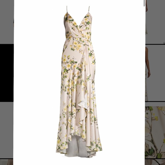 NWT Jay Godfrey Beautiful Floral Ruffled Slip Gown In Plumeria MP $395 - Picture 3 of 7
